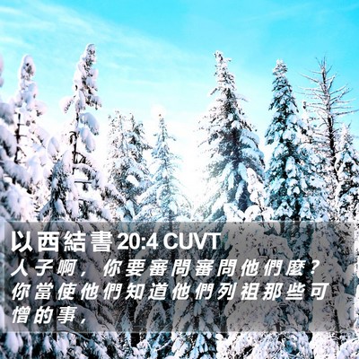 以 西 結 書 20:4 CUVT Bible Verse Image