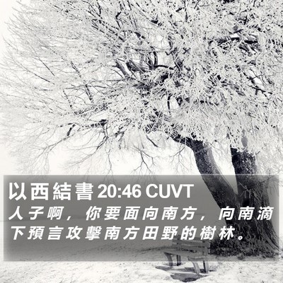 以 西 結 書 20:46 CUVT Bible Verse Image