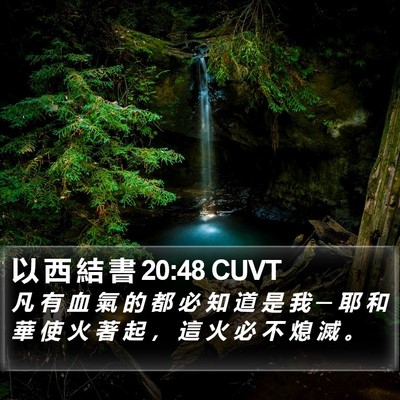 以 西 結 書 20:48 CUVT Bible Verse Image