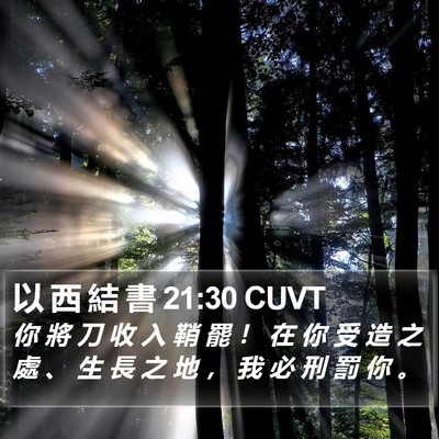 以 西 結 書 21:30 CUVT Bible Verse Image