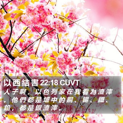 以 西 結 書 22:18 CUVT Bible Verse Image