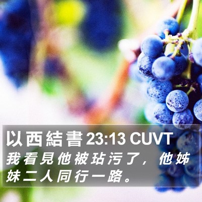 以 西 結 書 23:13 CUVT Bible Verse Image