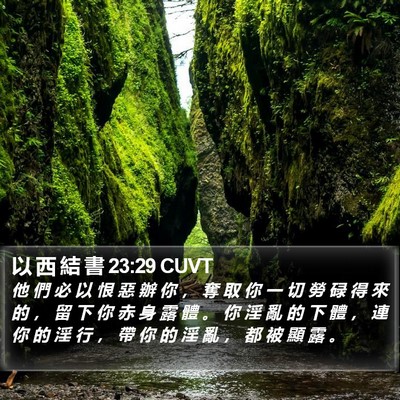 以 西 結 書 23:29 CUVT Bible Verse Image