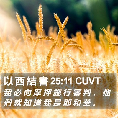 以 西 結 書 25:11 CUVT Bible Verse Image