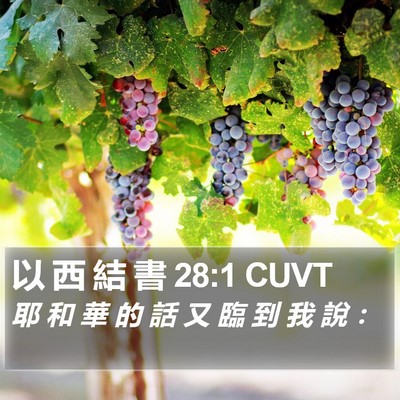 以 西 結 書 28:1 CUVT Bible Verse Image