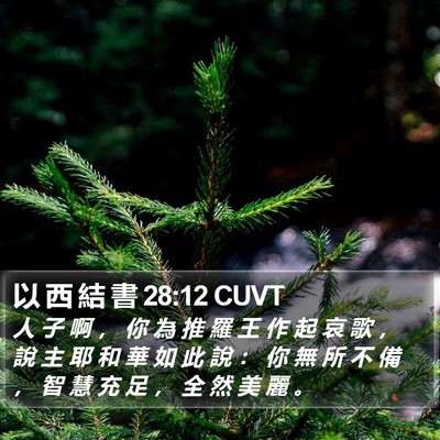 以 西 結 書 28:12 CUVT Bible Verse Image