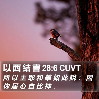 以 西 結 書 28:6 CUVT Bible Verse Image