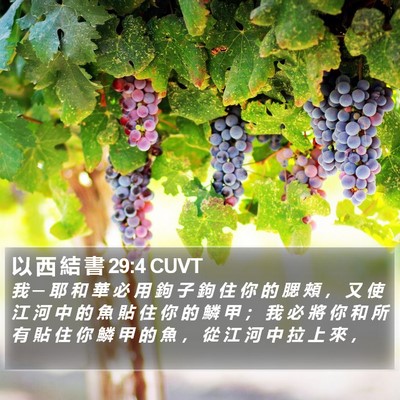 以 西 結 書 29:4 CUVT Bible Verse Image