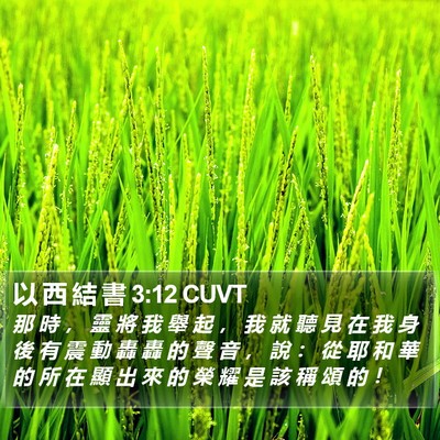 以 西 結 書 3:12 CUVT Bible Verse Image