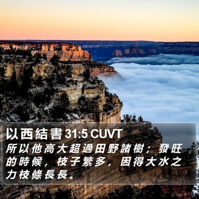 以 西 結 書 31:5 CUVT Bible Verse Image