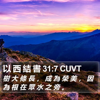 以 西 結 書 31:7 CUVT Bible Verse Image