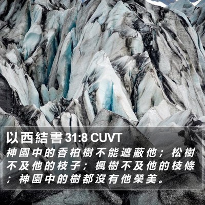 以 西 結 書 31:8 CUVT Bible Verse Image