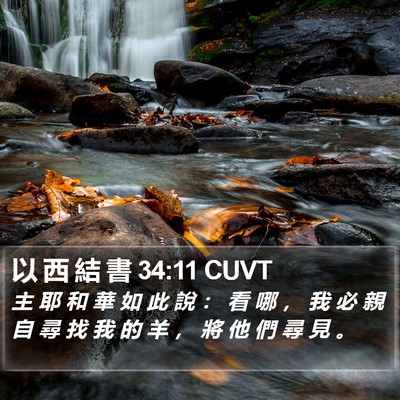 以 西 結 書 34:11 CUVT Bible Verse Image