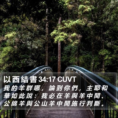 以 西 結 書 34:17 CUVT Bible Verse Image
