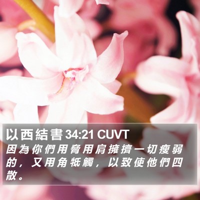 以 西 結 書 34:21 CUVT Bible Verse Image
