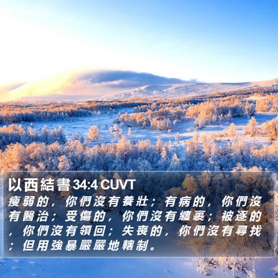 以 西 結 書 34:4 CUVT Bible Verse Image