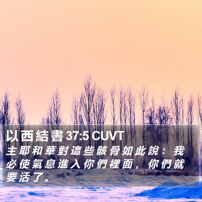 以 西 結 書 37:5 CUVT Bible Verse Image