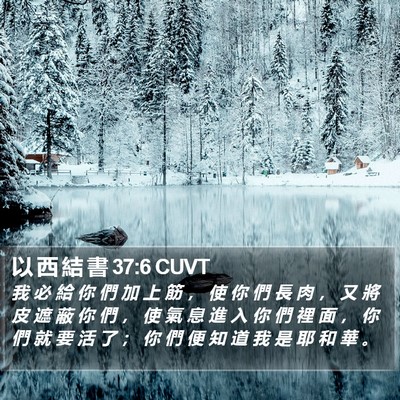 以 西 結 書 37:6 CUVT Bible Verse Image