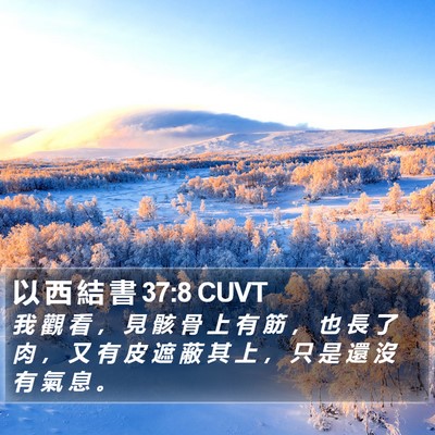 以 西 結 書 37:8 CUVT Bible Verse Image
