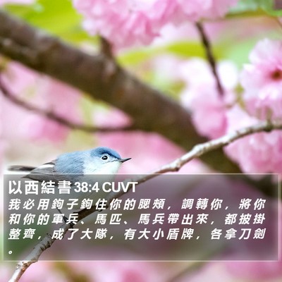 以 西 結 書 38:4 CUVT Bible Verse Image
