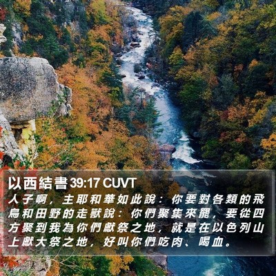 以 西 結 書 39:17 CUVT Bible Verse Image