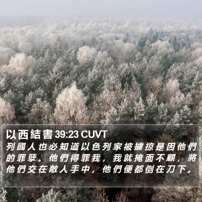 以 西 結 書 39:23 CUVT Bible Verse Image