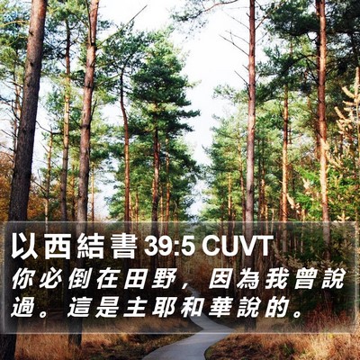 以 西 結 書 39:5 CUVT Bible Verse Image