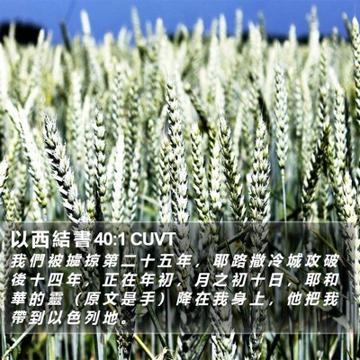 以 西 結 書 40:1 CUVT Bible Verse Image