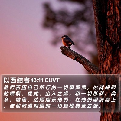 以 西 結 書 43:11 CUVT Bible Verse Image