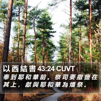 以 西 結 書 43:24 CUVT Bible Verse Image
