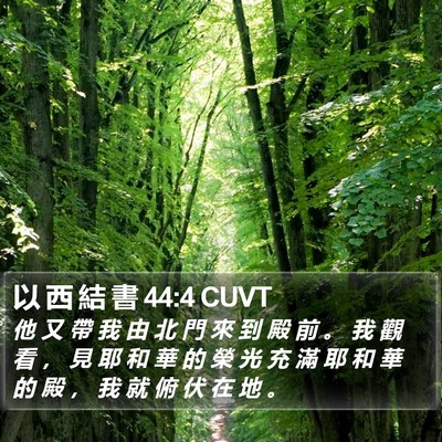 以 西 結 書 44:4 CUVT Bible Verse Image