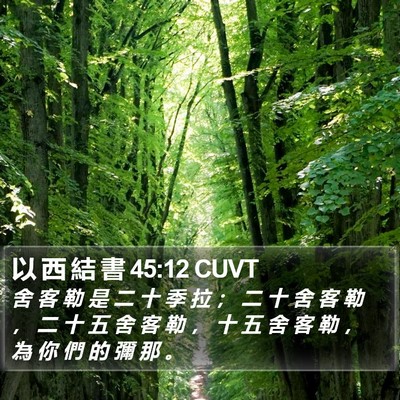 以 西 結 書 45:12 CUVT Bible Verse Image