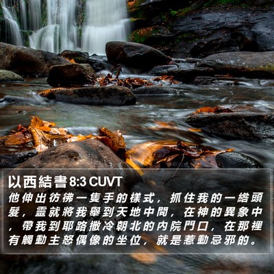 以 西 結 書 8:3 CUVT Bible Verse Image
