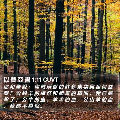 以 賽 亞 書 1:11 CUVT Bible Verse Image