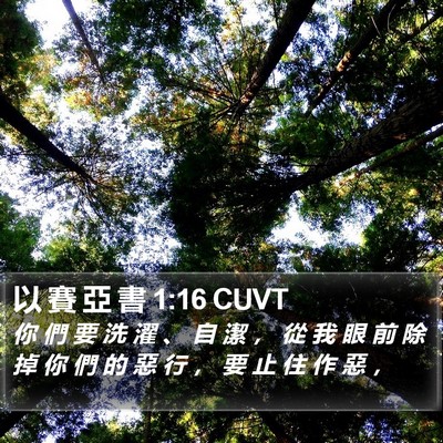以 賽 亞 書 1:16 CUVT Bible Verse Image