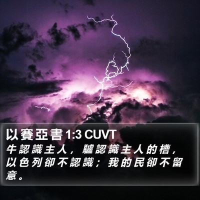 以 賽 亞 書 1:3 CUVT Bible Verse Image