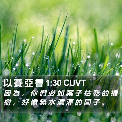 以 賽 亞 書 1:30 CUVT Bible Verse Image