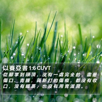 以 賽 亞 書 1:6 CUVT Bible Verse Image