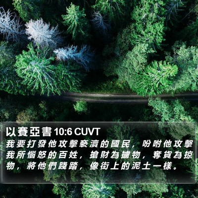以 賽 亞 書 10:6 CUVT Bible Verse Image