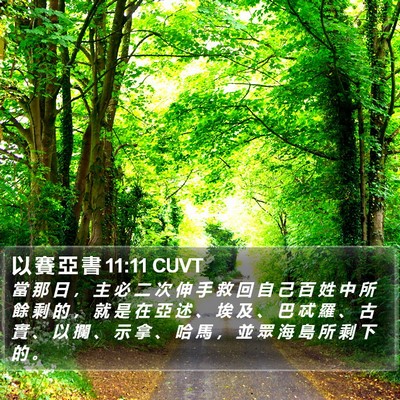 以 賽 亞 書 11:11 CUVT Bible Verse Image