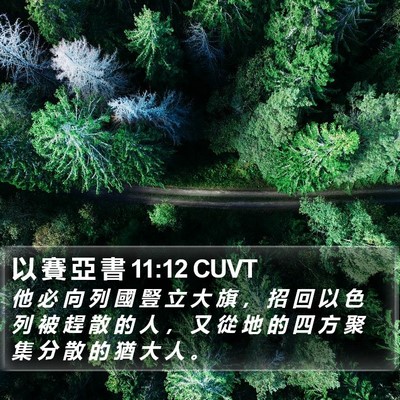 以 賽 亞 書 11:12 CUVT Bible Verse Image