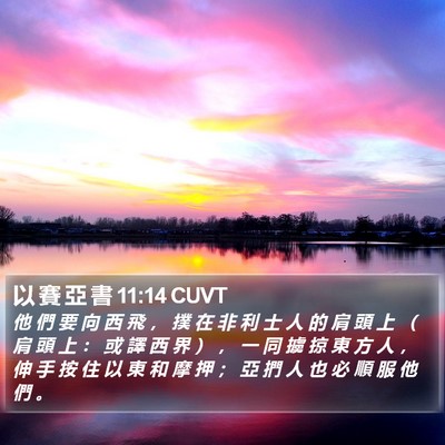 以 賽 亞 書 11:14 CUVT Bible Verse Image