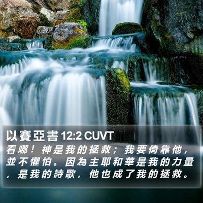以 賽 亞 書 12:2 CUVT Bible Verse Image