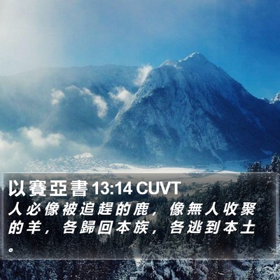 以 賽 亞 書 13:14 CUVT Bible Verse Image