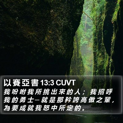 以 賽 亞 書 13:3 CUVT Bible Verse Image