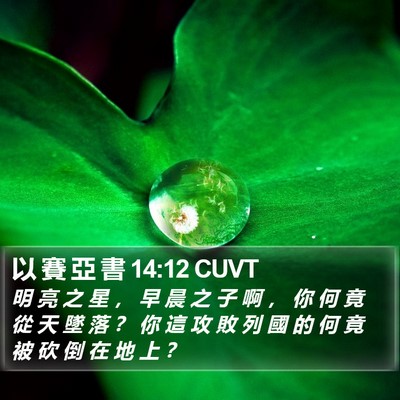 以 賽 亞 書 14:12 CUVT Bible Verse Image