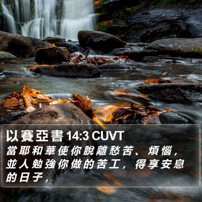以 賽 亞 書 14:3 CUVT Bible Verse Image