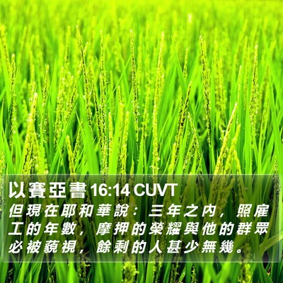 以 賽 亞 書 16:14 CUVT Bible Verse Image