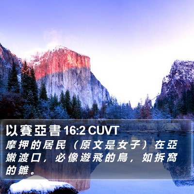 以 賽 亞 書 16:2 CUVT Bible Verse Image