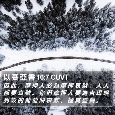 以 賽 亞 書 16:7 CUVT Bible Verse Image